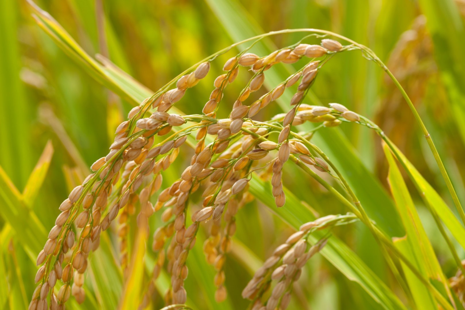 TOPスライド画像01